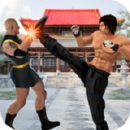 Kung fu fight karate offline games 2020