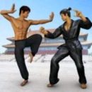 Kung Fu Street Fighting Hero Mod